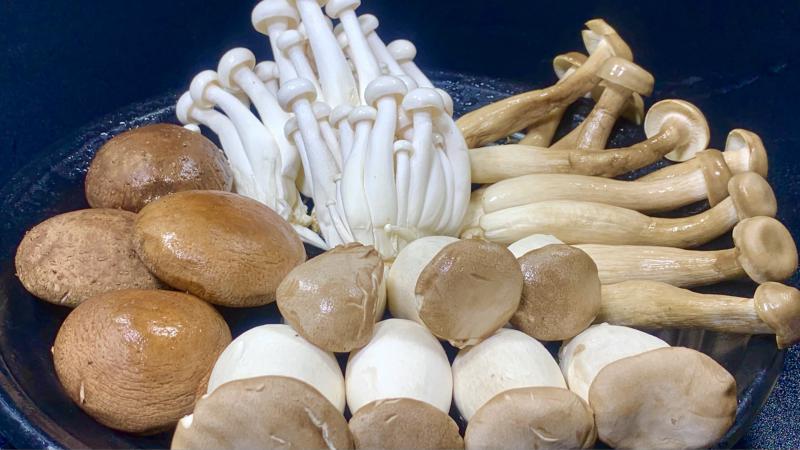 中山菌菇冷库保鲜方式及建造温度